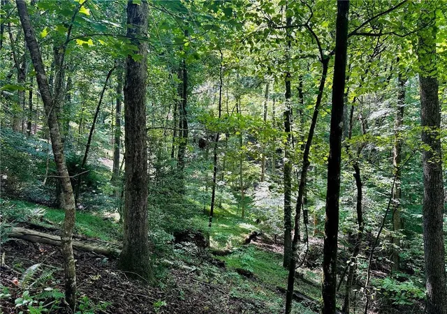 Homes for sale in Dahlonega, GA | 7123 Acres Halls Mill Rd, Dahlonega, GA 30533 | MLS# 7752122