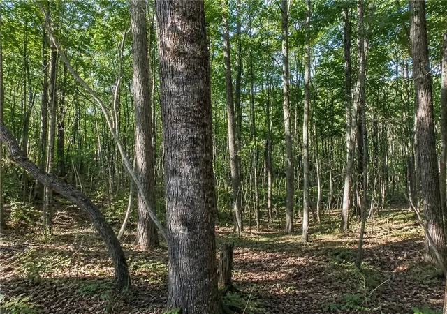 Homes for sale in Dawsonville, GA | Lot 26 Waldrip Rd, Dawsonville, GA 30534 | MLS# 7799819