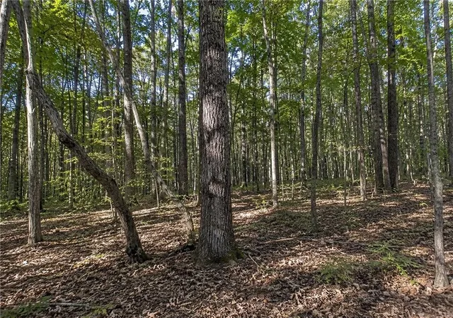 Homes for sale in Dawsonville, GA | Lot 26 Waldrip Rd, Dawsonville, GA 30534 | MLS# 7799819