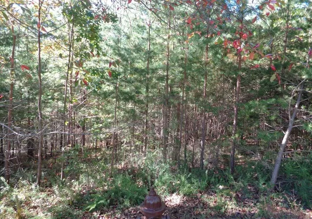 Photo 1 of Land for sale at 2474 Wedgewood Dr, Jasper, GA 30143 | MLS# 7808515 | Listing updated on 2026-07-29