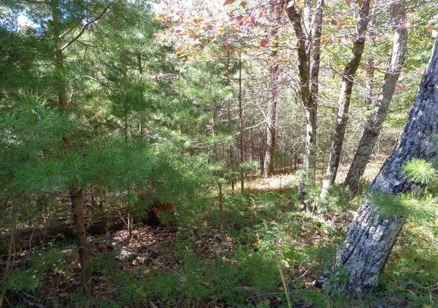 Photo 2 of Land for sale at 2474 Wedgewood Dr, Jasper, GA 30143 | MLS# 7808515 | Listing updated on 2026-07-29