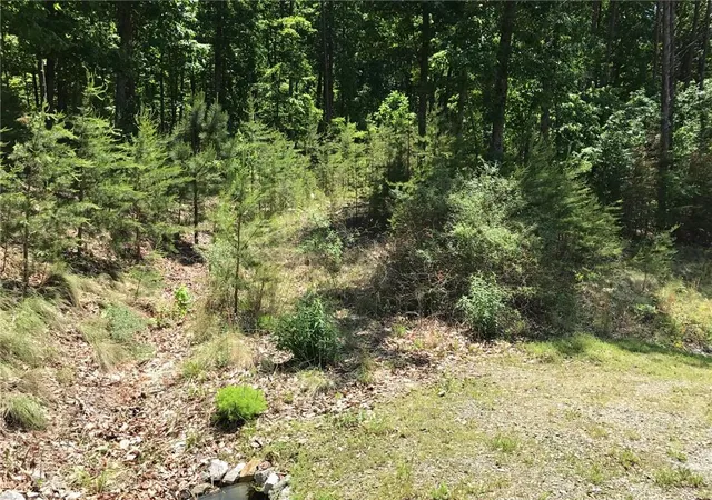 Photo 3 of Land for sale at 278 Vista View Pkwy, Jasper, GA 30143 | MLS# 7707831 | Listing updated on 2026-08-24