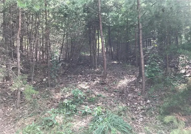 Photo 4 of Land for sale at 278 Vista View Pkwy, Jasper, GA 30143 | MLS# 7707831 | Listing updated on 2026-08-24