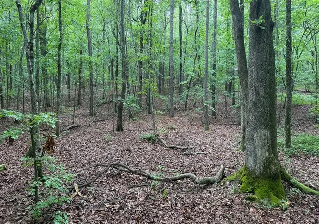 Photo 3 of Sale Pending at 0 Dublin Cir, Rome, GA 30161 | MLS# 7805373 | Listing updated on 2026-08-28