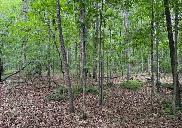 Photo 3 of Sale Pending at 0 Dublin Cir, Rome, GA 30161 | MLS# 7805373 | Listing updated on 2026-08-28