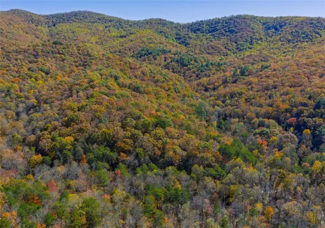 Photo 3 of Land for sale at Willard Mountain Rd, Blue Ridge, GA 30513 | MLS# 7742606 | Listing updated on 2026-04-30