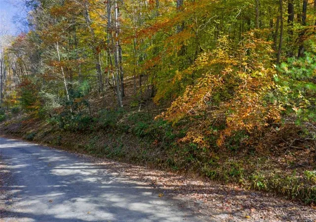Photo 4 of Land for sale at Willard Mountain Rd, Blue Ridge, GA 30513 | MLS# 7742606 | Listing updated on 2026-04-30