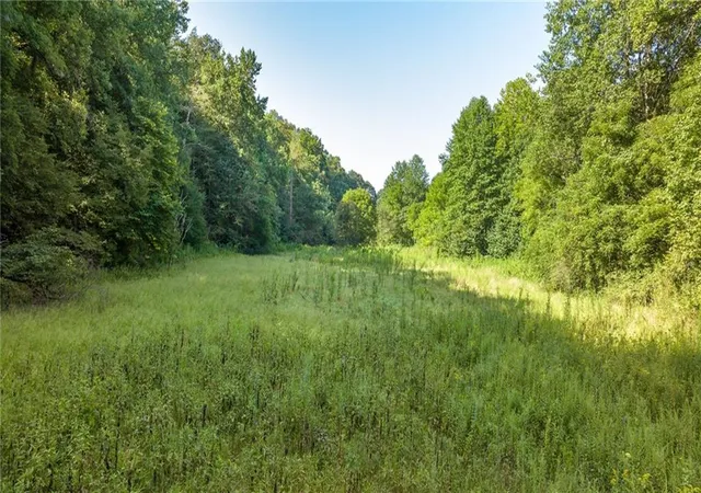 Homes for sale in Dahlonega, GA | 0 Gold Crest Dr, Dahlonega, GA 30533 | MLS# 7623108
