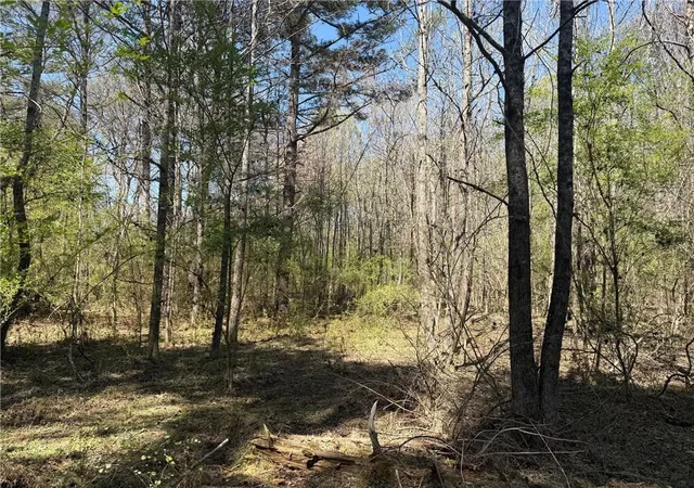 Homes for sale in Taylorsville, GA | 78 Mullinax Rd, Taylorsville, GA 30178 | MLS# 7740723