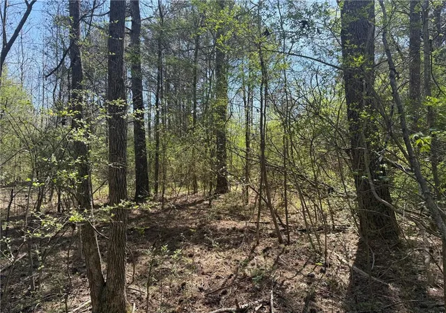 Homes for sale in Taylorsville, GA | 78 Mullinax Rd, Taylorsville, GA 30178 | MLS# 7740723