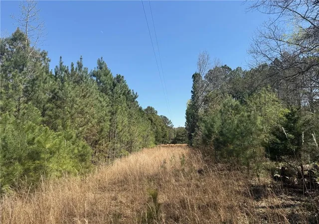 Homes for sale in Taylorsville, GA | 78 Mullinax Rd, Taylorsville, GA 30178 | MLS# 7740723