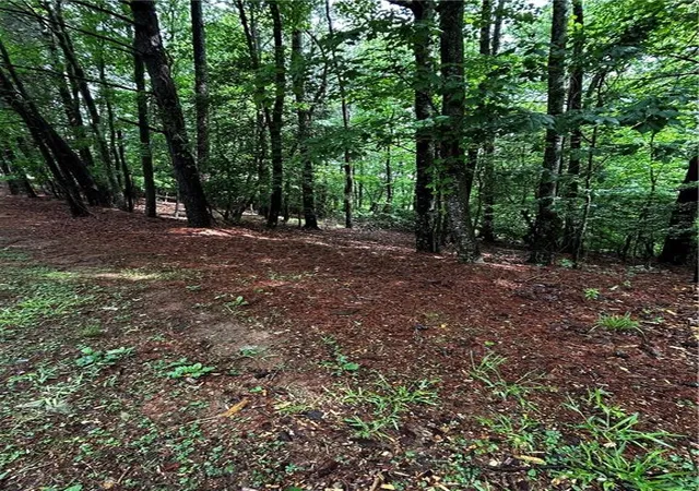 2nd image of 00 Lazy River Lane, Ellijay, GA 30536 | MLS# 7767750