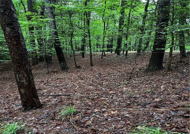 3rd image of 00 Lazy River Lane, Ellijay, GA 30536 | MLS# 7767750