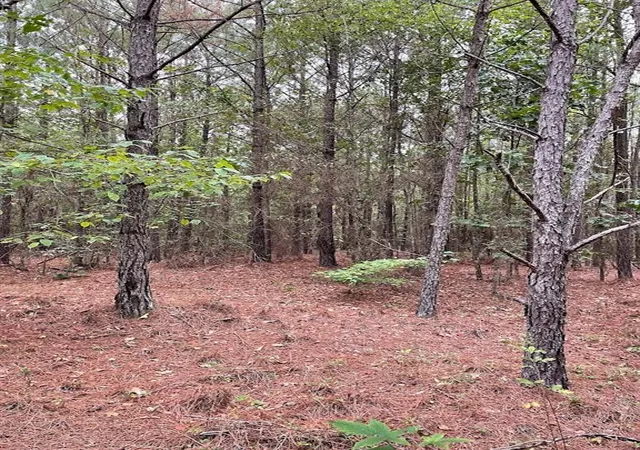 4th image of 0 Spence Rd, Fairburn, GA 30213 | MLS# 7822654