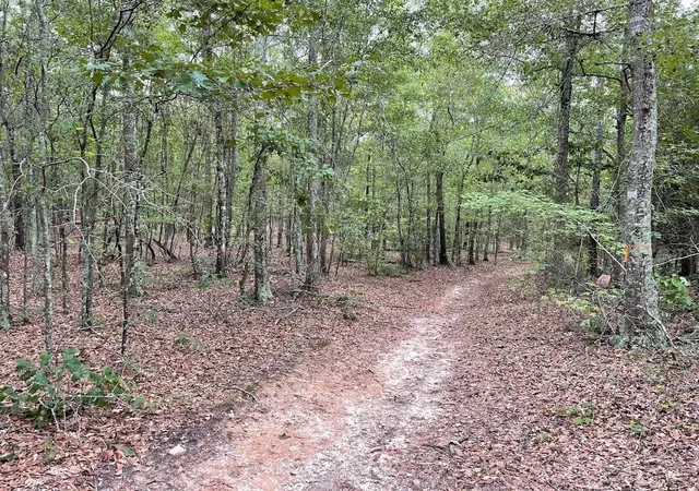 5th image of 0 Spence Rd, Fairburn, GA 30213 | MLS# 7822654