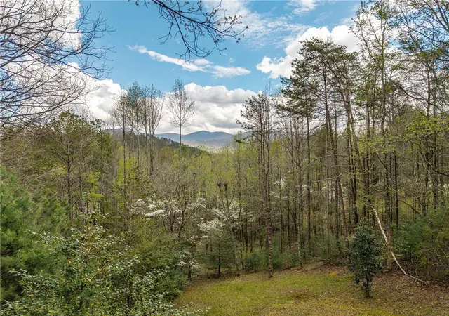 Homes for sale in Cherry Log, GA | 238 Cedar Ridge Rd, Cherry Log, GA 30522 | MLS# 7747710
