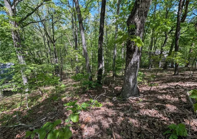 5th image of 110 Honeysuckle Dr, Cumming, GA 30040 | MLS# 7805059