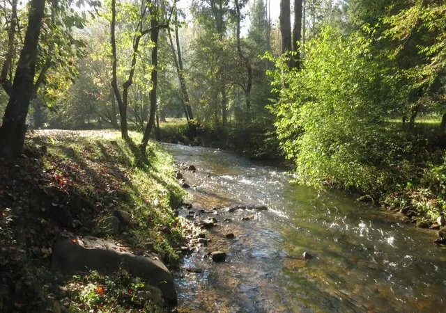 23rd image of Tr 1 Old Anderson Creek, Ellijay, GA 30536 | MLS# 7669091