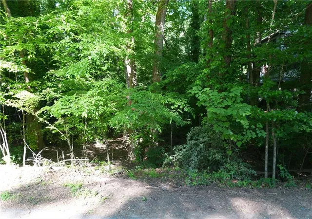 3rd image of 0 Lakeside Trl, Cumming, GA 30041 | MLS# 7759797