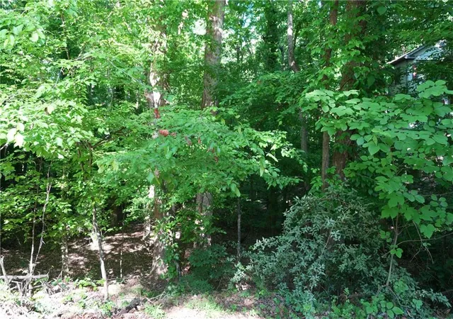 5th image of 0 Lakeside Trl, Cumming, GA 30041 | MLS# 7759797