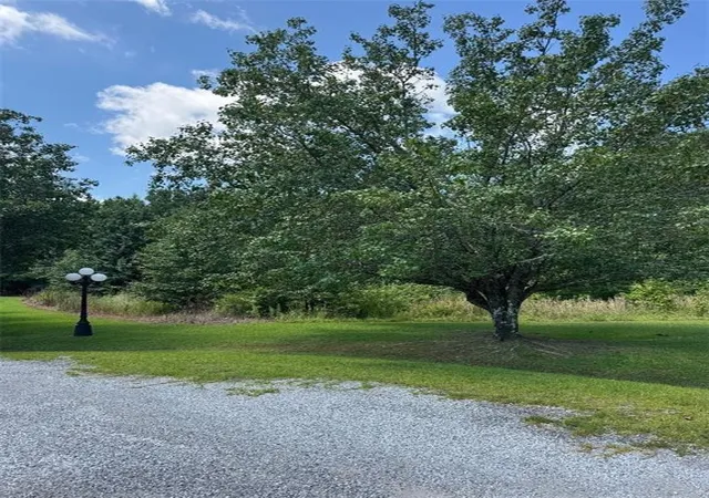 Homes for sale in Centre, AL | 155 County Road 424, Centre, AL 35960 | MLS# 7804977
