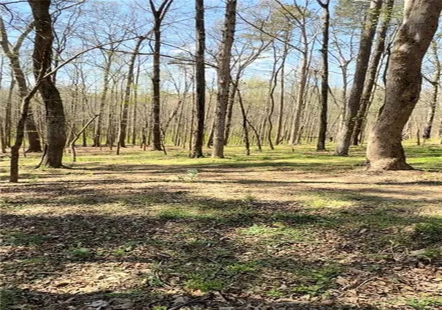3rd image of 0 Ike Stone, Monroe, GA 30656 | MLS# 7823884