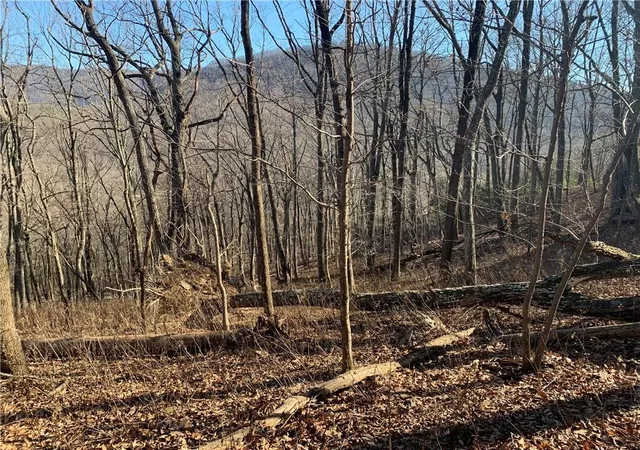 Photo 1 of Land for sale at 2933 Locust Trl, Jasper, GA 30143 | MLS# 6987193 | Listing updated on 2026-02-06