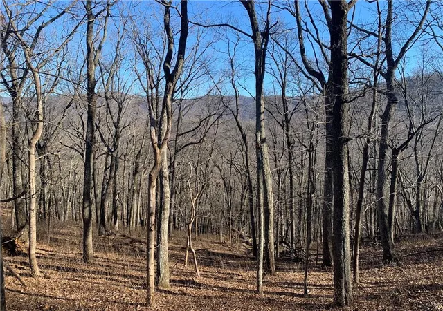 Photo 1 of Land for sale at 2933 Locust Trl, Jasper, GA 30143 | MLS# 6987193 | Listing updated on 2026-02-06