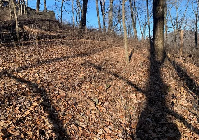 Photo 2 of Land for sale at 2933 Locust Trl, Jasper, GA 30143 | MLS# 6987193 | Listing updated on 2026-02-06