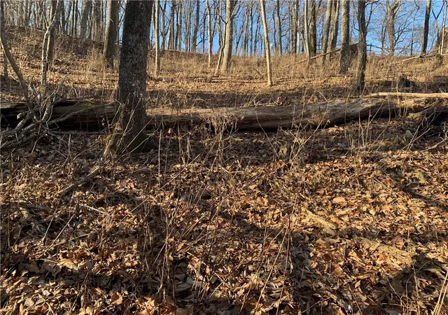 Photo 3 of Land for sale at 2933 Locust Trl, Jasper, GA 30143 | MLS# 6987193 | Listing updated on 2026-02-06