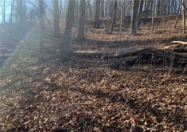 Photo 4 of Land for sale at 2933 Locust Trl, Jasper, GA 30143 | MLS# 6987193 | Listing updated on 2026-02-06