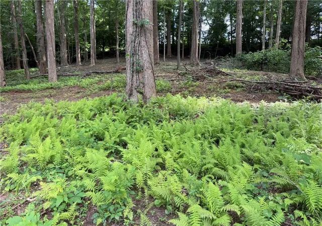 Photo 1 of Land for sale at 0 Martin Head Cir, Dahlonega, GA 30533 | MLS# 7830019 | Listing updated on 2026-09-02