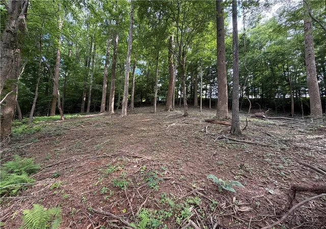Photo 2 of Land for sale at 0 Martin Head Cir, Dahlonega, GA 30533 | MLS# 7830019 | Listing updated on 2026-09-02
