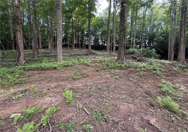 Photo 3 of Land for sale at 0 Martin Head Cir, Dahlonega, GA 30533 | MLS# 7830019 | Listing updated on 2026-09-02