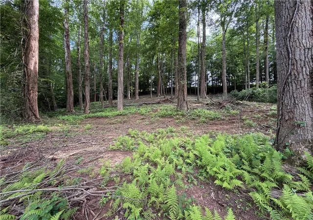 Photo 4 of Land for sale at 0 Martin Head Cir, Dahlonega, GA 30533 | MLS# 7830019 | Listing updated on 2026-09-02