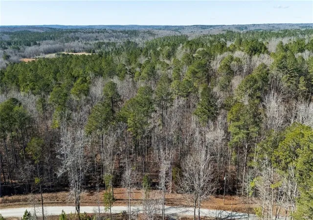 Photo 2 of Land for sale at 0 Pace Rd, Chattahoochee Hills, GA 30213 | MLS# 7786420 | Listing updated on 2026-08-18