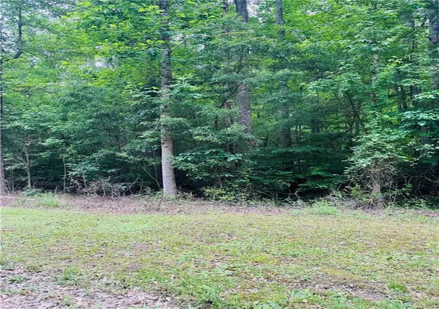 Photo 8 of Land for sale at 0 Pace Rd, Chattahoochee Hills, GA 30213 | MLS# 7786420 | Listing updated on 2026-08-18
