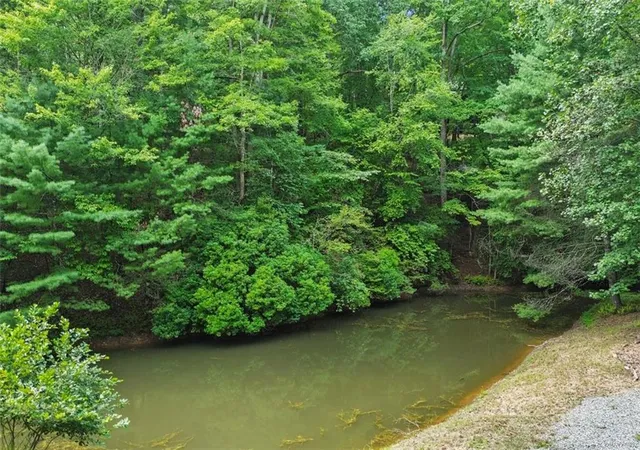45th image of 322 Honeysuckle Way, Blue Ridge, GA 30513 | MLS# 7823050