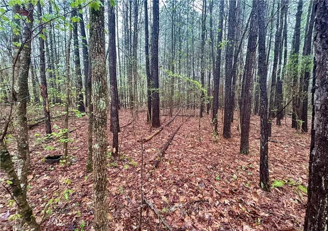 3rd image of 0 Walker Mountain Rd Sw, Rome, GA 30161 | MLS# 7551047