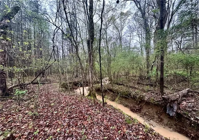 4th image of 0 Walker Mountain Rd Sw, Rome, GA 30161 | MLS# 7551047