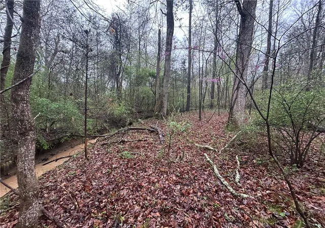 5th image of 0 Walker Mountain Rd Sw, Rome, GA 30161 | MLS# 7551047