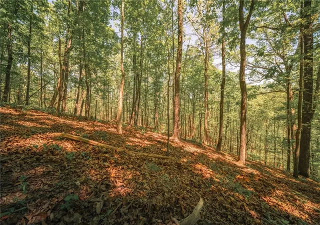 2nd image of 00 Hancock Mountain Trl, Waleska, GA 30183 | MLS# 7755014