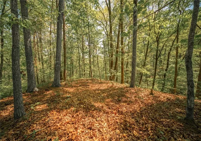 3rd image of 00 Hancock Mountain Trl, Waleska, GA 30183 | MLS# 7755014