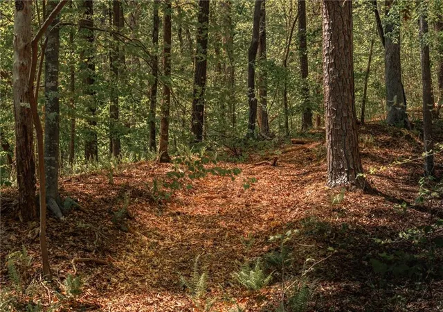 5th image of 00 Hancock Mountain Trl, Waleska, GA 30183 | MLS# 7755014