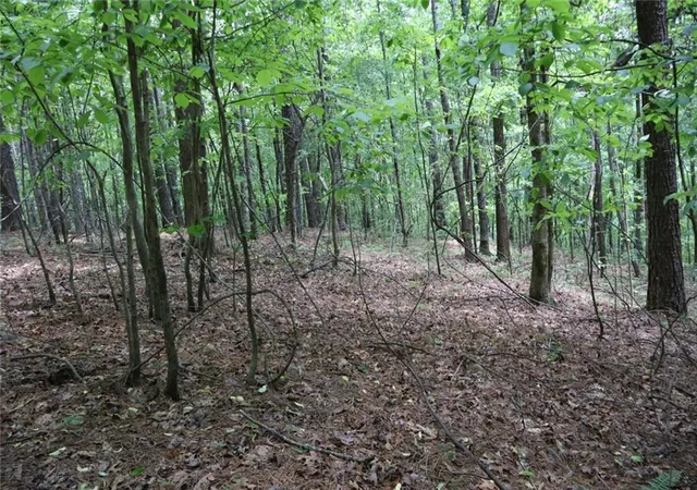 Photo 1 of Land for sale at 0 Parksbrook Rd A, Ellijay, GA 30540 | MLS# 7727634 | Listing updated on 2026-03-03