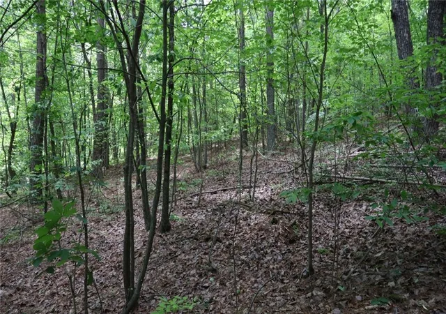 Photo 22 of Land for sale at 0 Parksbrook Rd A, Ellijay, GA 30540 | MLS# 7727634 | Listing updated on 2026-03-03