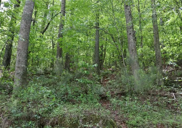 Photo 2 of Land for sale at 0 Parksbrook Rd A, Ellijay, GA 30540 | MLS# 7727634 | Listing updated on 2026-03-03