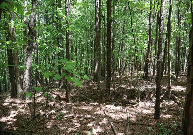 Photo 2 of Land for sale at 0 Parksbrook Rd A, Ellijay, GA 30540 | MLS# 7727634 | Listing updated on 2026-03-03