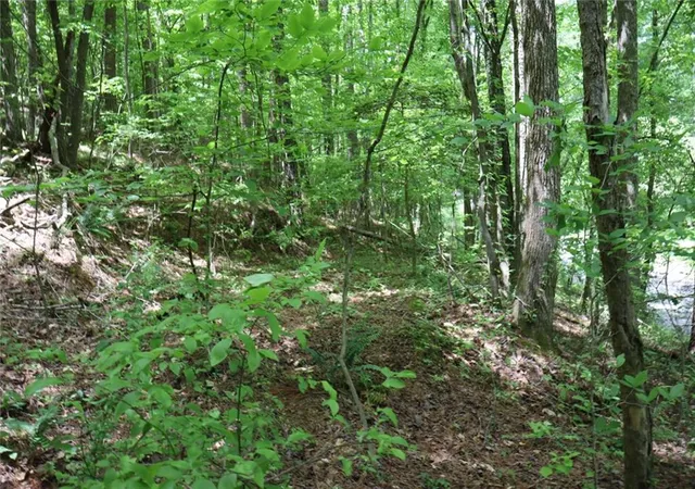 Photo 4 of Land for sale at 0 Parksbrook Rd A, Ellijay, GA 30540 | MLS# 7727634 | Listing updated on 2026-03-03