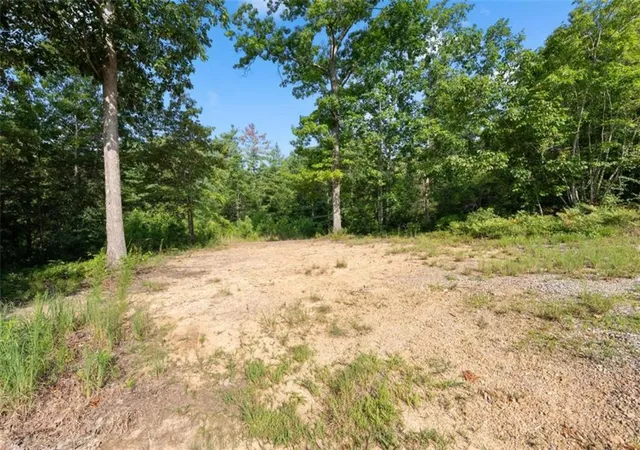 100th image of 4061 Historic Old Hwy 441, Clarkesville, GA 30523 | MLS# 7822608